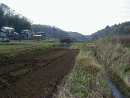 �k�������Ƃ̓c���