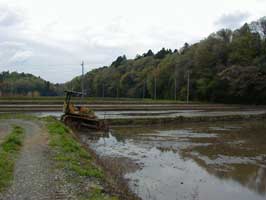 �u���h�[�U�[�ł̑ォ��