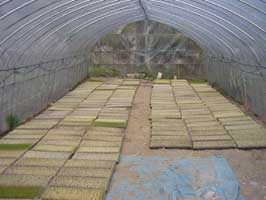 �r�j�[���n�E�X�ł̕c