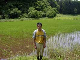 ���̌����