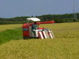 ����i�킹�j�̈��