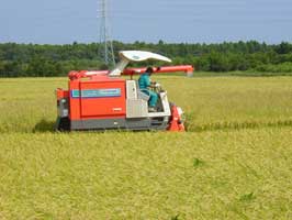 大きいコンバイン