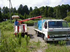 トラックへ籾(もみ)を積み込み