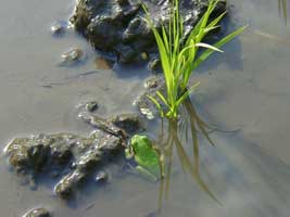 �������J�G��